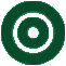 Bullseye Icon